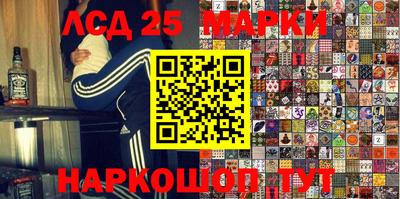 гидропоника Сланцы