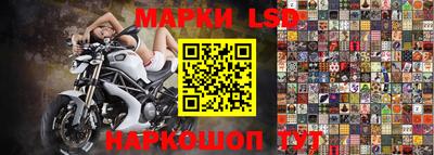 mdpv Славгород