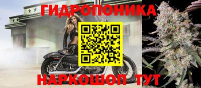молекула духа Северобайкальск