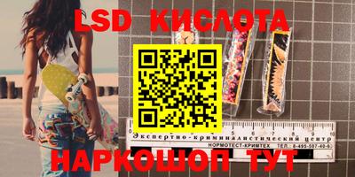 PSILOCYBIN Славянск-на-Кубани