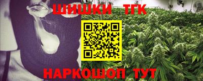 гидропоника Сланцы