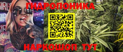 гидропоника Сланцы