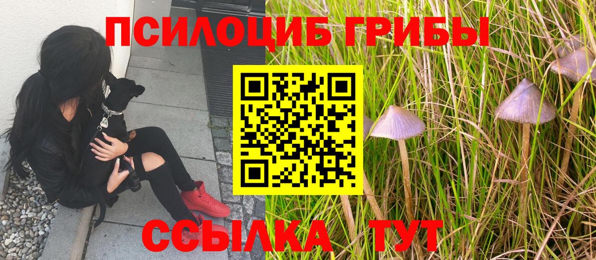 Галлюциногенные грибы Magic Shrooms  Вход с VPN  Новоалександровск 